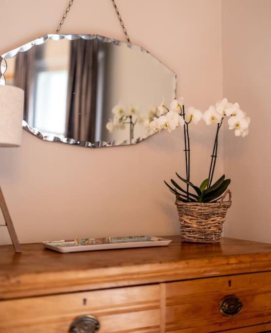 Beautiful & Spacious Retreat In Winchester Ngoại thất bức ảnh